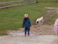 Another puddle