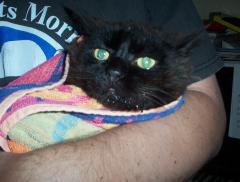 Pasta takes her medicine