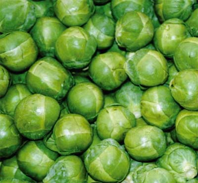 Sprouts - the Devil’s vegetable
