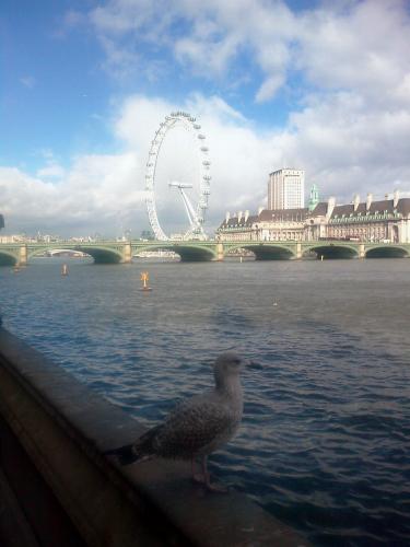 London Eye London Eye
