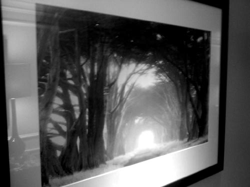 photo photo