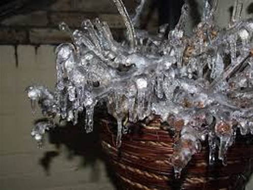 icicles