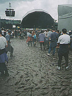 Tony takes Glastonbury by storm