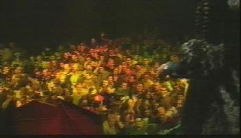 I'm in there somewhere!