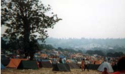 A view of the site